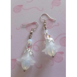 Boucles d'oreilles fantaisies